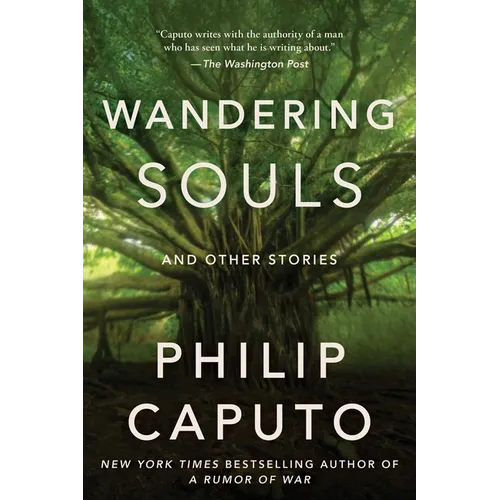 Wandering Souls: And Other Stories