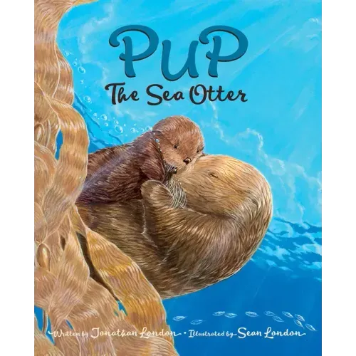 Pup the Sea Otter