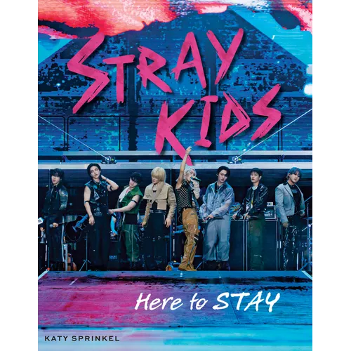 Stray Kids: Here to Stay