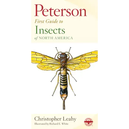 Peterson First Guide to Insects - Paperback