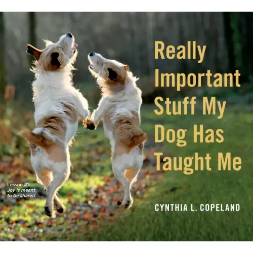 Really Important Stuff My Dog Has Taught Me - Paperback