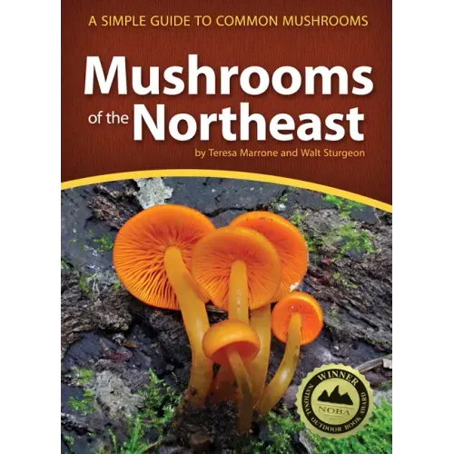 Mushrooms of the Northeast: A Simple Guide to Common Mushrooms