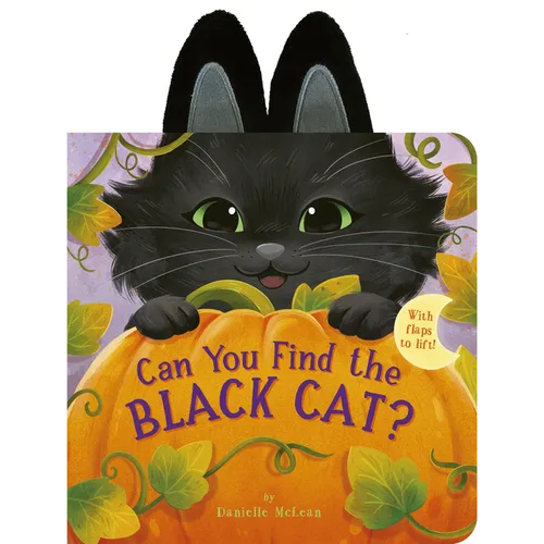 Can You Find the Black Cat?: With Flaps to Lift!