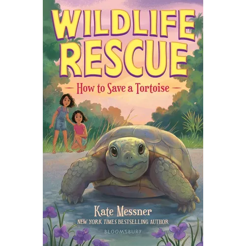 How to Save a Tortoise