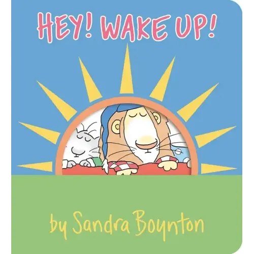 Hey! Wake Up! - Board Book