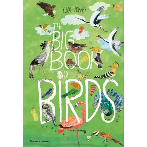 The Big Book of Birds - Hardcover