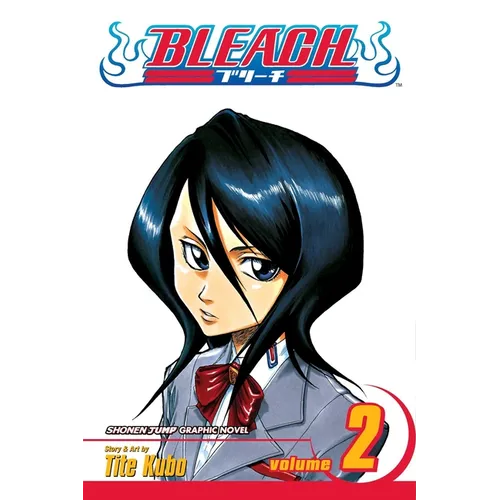 Bleach, Vol. 2