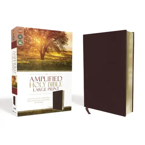 Amplified Bible-Am-Large Print: Captures the Full Meaning Behind the Original Greek and Hebrew - Bonded Leather