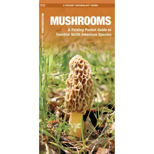 Mushrooms: An Introduction to Familiar North American Species