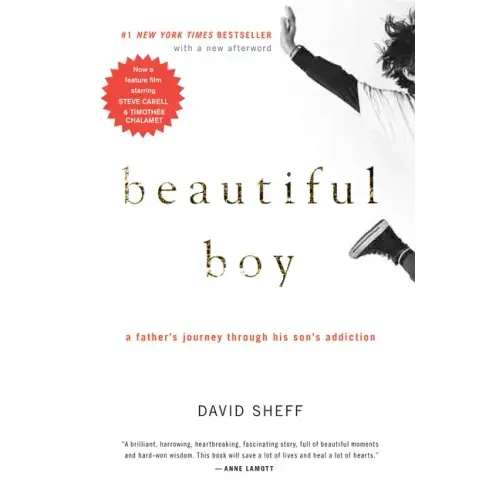Beautiful Boy: A Father's Journey Through His Son's Addiction - Paperback
