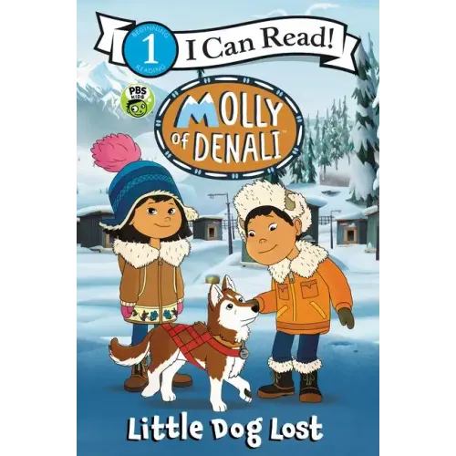 Molly of Denali: Little Dog Lost - Paperback