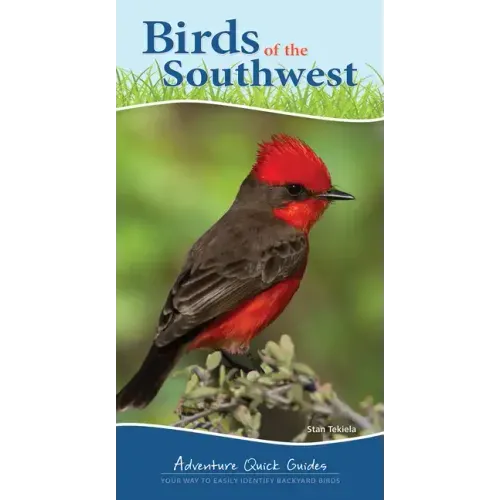 Birds of the Southwest: Your Way to Easily Identify Backyard Birds