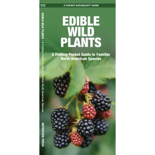 Edible Wild Plants: A Folding Pocket Guide to Familiar North American Species