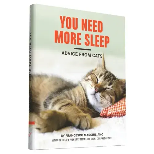 You Need More Sleep: Advice from Cats - Hardcover