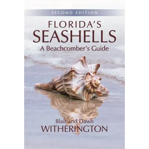 Florida's Seashells: A Beachcomber's Guide - Paperback