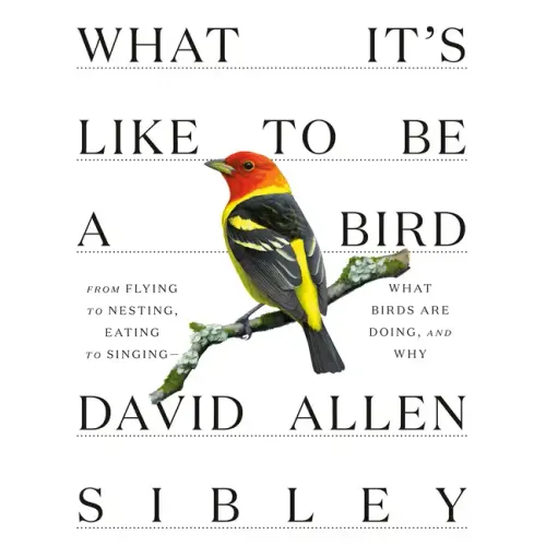 What It's Like to Be a Bird: From Flying to Nesting, Eating to Singing--What Birds Are Doing, and Why